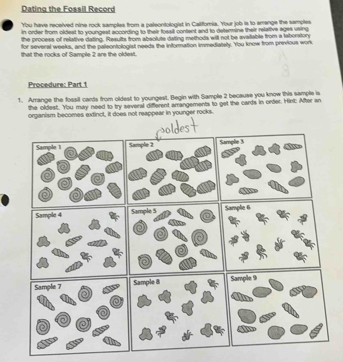 dating the fossil record\nyou have received nine rock samples from a paleontologist in california. your job is to arrange the samples in order from oldest to youngest according to their fossil content and to determine their relative ages using the process of relative dating. results from absolute dating methods will not be available from a laboratory for several weeks, and the paleontologist needs the information immediately. you know from previous work that the rocks of sample 2 are the oldest.\n\nprocedure: part 1\n1. arrange the fossil cards from oldest to youngest. begin with sample 2 because you know this sample is the oldest. you may need to try several different arrangements to get the cards in order. hint: after an organism becomes extinct, it does not reappear in younger rocks.