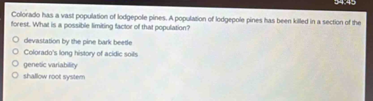 colorado has a vast population of lodgepole pines. a population of lodgepole pines has been killed in a section of the forest. what is a possible limiting factor of that population?\n○ devastation by the pine bark beetle\n○ colorados long history of acidic soils\n○ genetic variability\n○ shallow root system