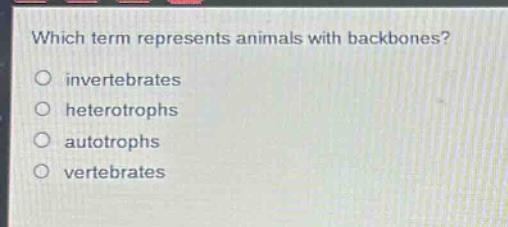 which term represents animals with backbones?\no invertebrates\no heterotrophs\no autotrophs\no vertebrates