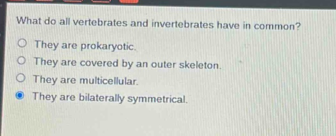 what do all vertebrates and invertebrates have in common?\nthey are prokaryotic.\nthey are covered by an outer skeleton.\nthey are multicellular.\nthey are bilaterally symmetrical.