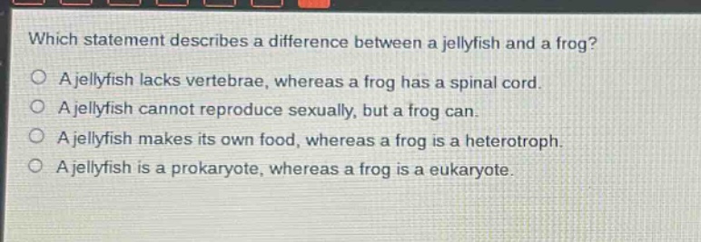 which statement describes a difference between a jellyfish and a frog?\na jellyfish lacks vertebrae, whereas a frog has a spinal cord.\na jellyfish cannot reproduce sexually, but a frog can.\na jellyfish makes its own food, whereas a frog is a heterotroph.\na jellyfish is a prokaryote, whereas a frog is a eukaryote.