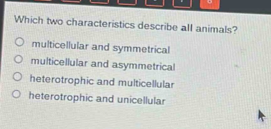 which two characteristics describe all animals?\nmulticellular and symmetrical\nmulticellular and asymmetrical\nheterotrophic and multicellular\nheterotrophic and unicellular