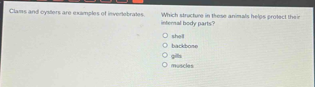 clams and oysters are examples of invertebrates. which structure in these animals helps protect their internal body parts? shell backbone gills muscles