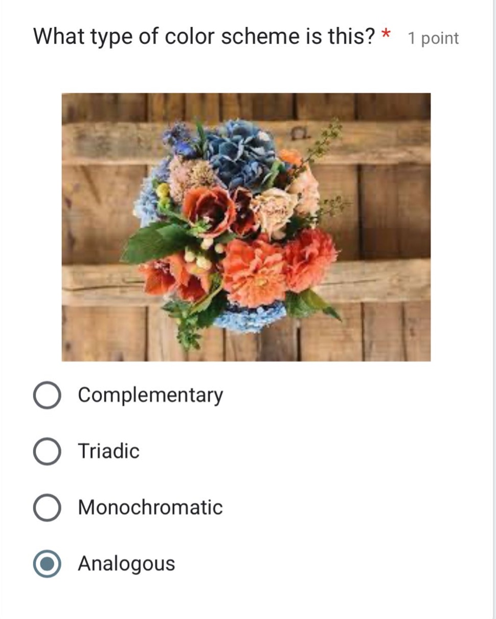 what type of color scheme is this? * 1 point\ncomplementary\ntriadic\nmonochromatic\nanalogous