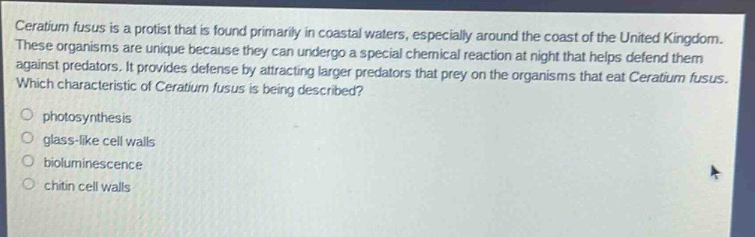 ceratium fusus is a protist that is found primarily in coastal waters, especially around the coast of the united kingdom. these organisms are unique because they can undergo a special chemical reaction at night that helps defend them against predators. it provides defense by attracting larger predators that prey on the organisms that eat ceratium fusus. which characteristic of ceratium fusus is being described?\nphotosynthesis\nglass - like cell walls\nbioluminescence\nchitin cell walls