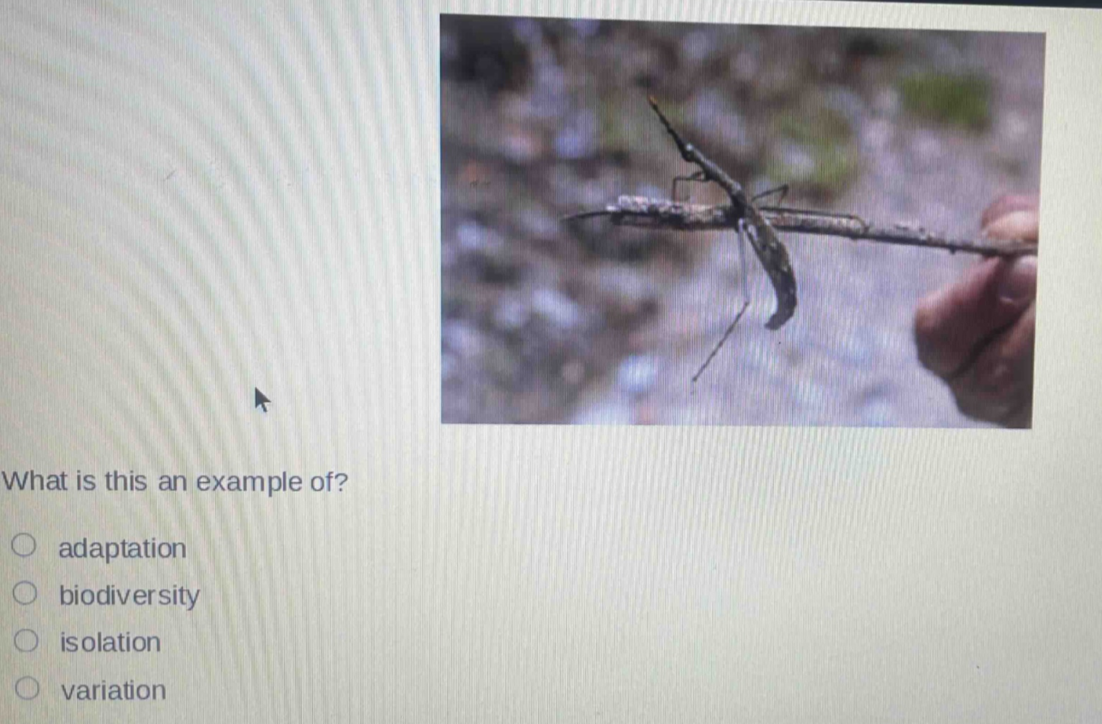what is this an example of?\n○ adaptation\n○ biodiversity\n○ isolation\n○ variation