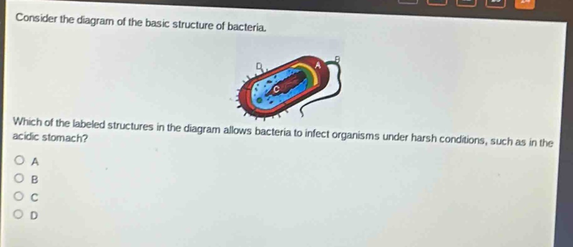 consider the diagram of the basic structure of bacteria. which of the labeled structures in the diagram allows bacteria to infect organisms under harsh conditions, such as in the acidic stomach?\na\nb\nc\nd