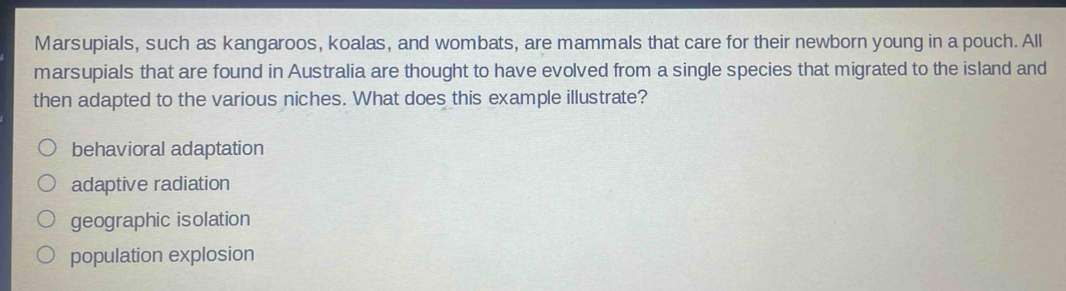 marsupials, such as kangaroos, koalas, and wombats, are mammals that care for their newborn young in a pouch. all marsupials that are found in australia are thought to have evolved from a single species that migrated to the island and then adapted to the various niches. what does this example illustrate?\n○ behavioral adaptation\n○ adaptive radiation\n○ geographic isolation\n○ population explosion