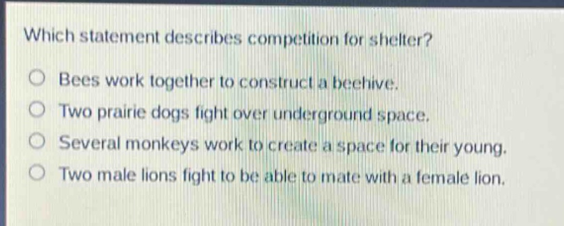which statement describes competition for shelter?\nbees work together to construct a beehive.\ntwo prairie dogs fight over underground space.\nseveral monkeys work to create a space for their young.\ntwo male lions fight to be able to mate with a female lion.