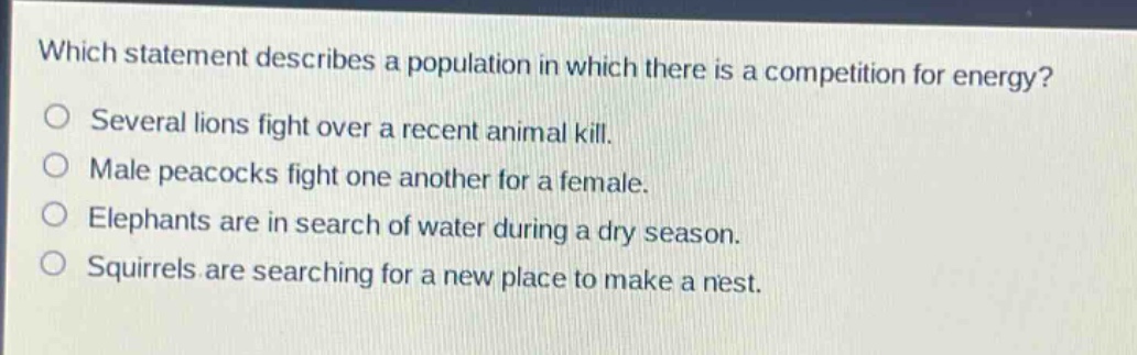 which statement describes a population in which there is a competition for energy?\no several lions fight over a recent animal kill.\no male peacocks fight one another for a female.\no elephants are in search of water during a dry season.\no squirrels are searching for a new place to make a nest.