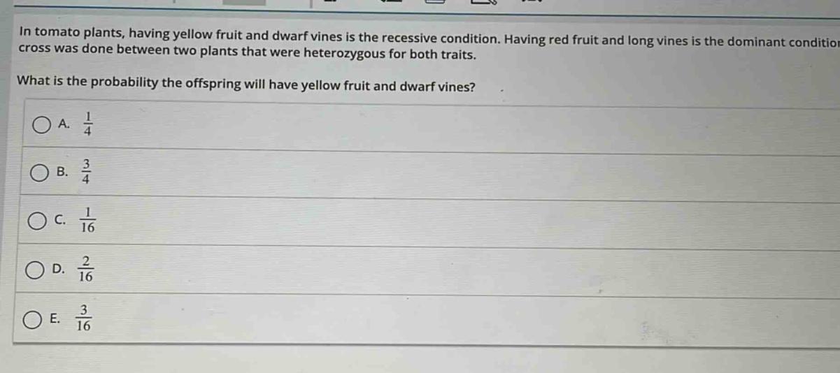 in tomato plants, having yellow fruit and dwarf vines is the recessive condition. having red fruit and long vines is the dominant condition. a cross was done between two plants that were heterozygous for both traits. what is the probability the offspring will have yellow fruit and dwarf vines?\na. $\frac{1}{4}$\nb. $\frac{3}{4}$\nc. $\frac{1}{16}$\nd. $\frac{2}{16}$\ne. $\frac{3}{16}$