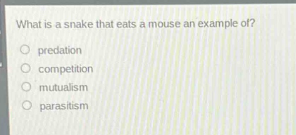 what is a snake that eats a mouse an example of?\n○ predation\n○ competition\n○ mutualism\n○ parasitism