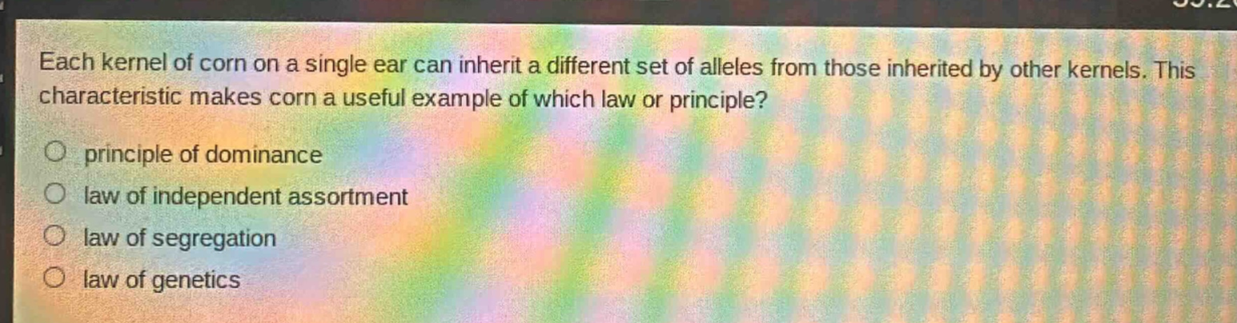 each kernel of corn on a single ear can inherit a different set of alleles from those inherited by other kernels. this characteristic makes corn a useful example of which law or principle?\no principle of dominance\no law of independent assortment\no law of segregation\no law of genetics