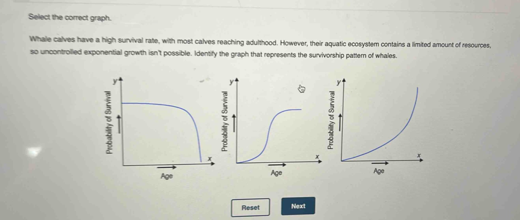 select the correct graph.\nwhale calves have a high survival rate, with most calves reaching adulthood. however, their aquatic ecosystem contains a limited amount of resources, so uncontrolled exponential growth isnt possible. identify the graph that represents the survivorship pattern of whales.\nprobability of survival\nage\nprobability of survival\nage\nprobability of survival\nage\nreset\nnext