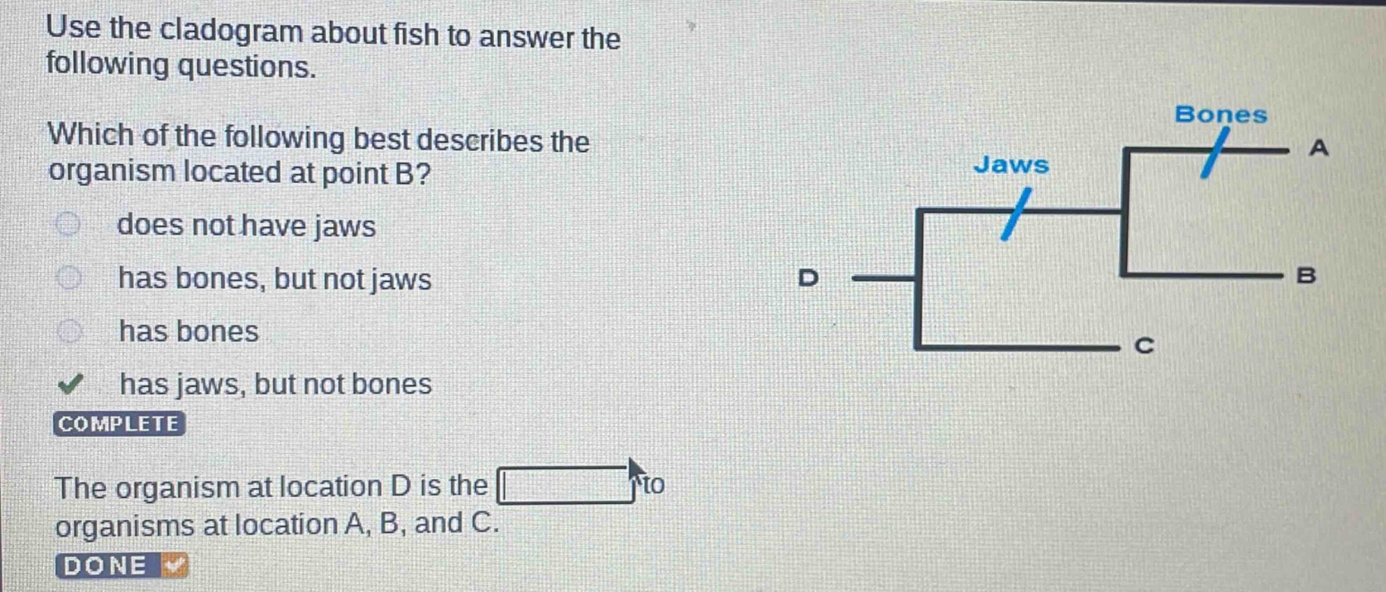 use the cladogram about fish to answer the following questions. which of the following best describes the organism located at point b? does not have jaws has bones, but not jaws has bones has jaws, but not bones complete the organism at location d is the to organisms at location a, b, and c. done