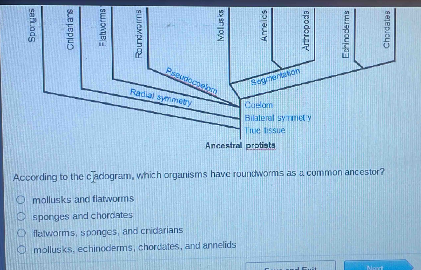 according to the cladogram, which organisms have roundworms as a common ancestor?\n mollusks and flatworms\n sponges and chordates\n flatworms, sponges, and cnidarians\n mollusks, echinoderms, chordates, and annelids