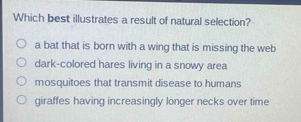 which best illustrates a result of natural selection?\n○ a bat that is born with a wing that is missing the web\n○ dark - colored hares living in a snowy area\n○ mosquitoes that transmit disease to humans\n○ giraffes having increasingly longer necks over time