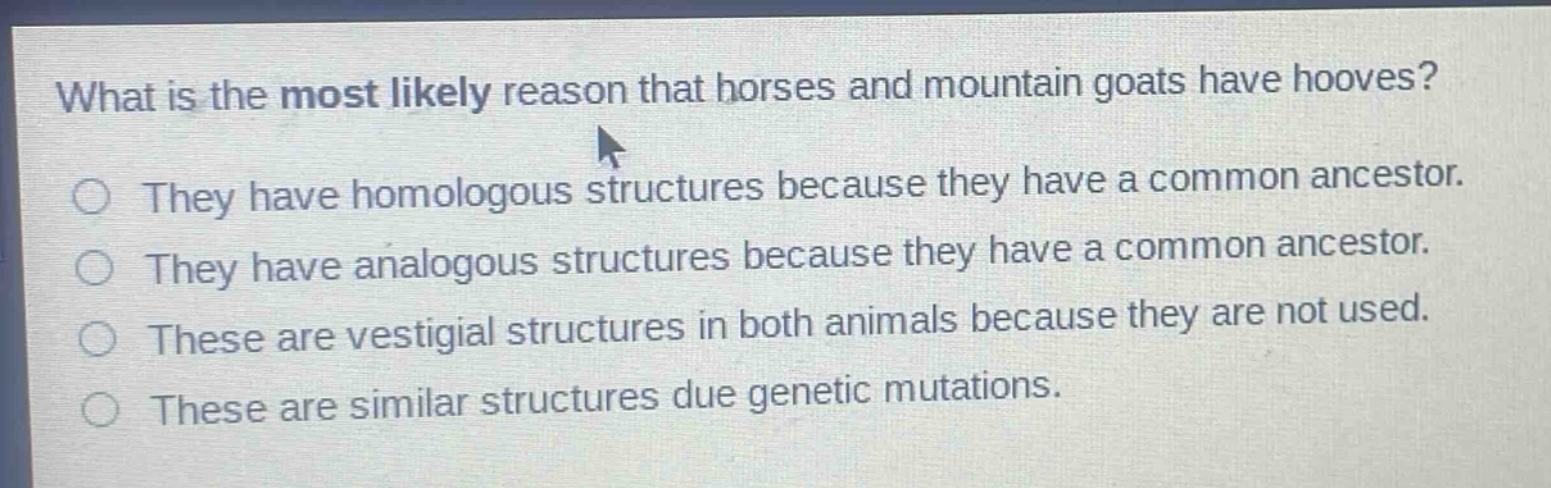 what is the most likely reason that horses and mountain goats have hooves?\nthey have homologous structures because they have a common ancestor.\nthey have analogous structures because they have a common ancestor.\nthese are vestigial structures in both animals because they are not used.\nthese are similar structures due genetic mutations.