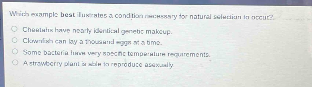 which example best illustrates a condition necessary for natural selection to occur?\ncheetahs have nearly identical genetic makeup.\nclownfish can lay a thousand eggs at a time.\nsome bacteria have very specific temperature requirements.\na strawberry plant is able to reproduce asexually.