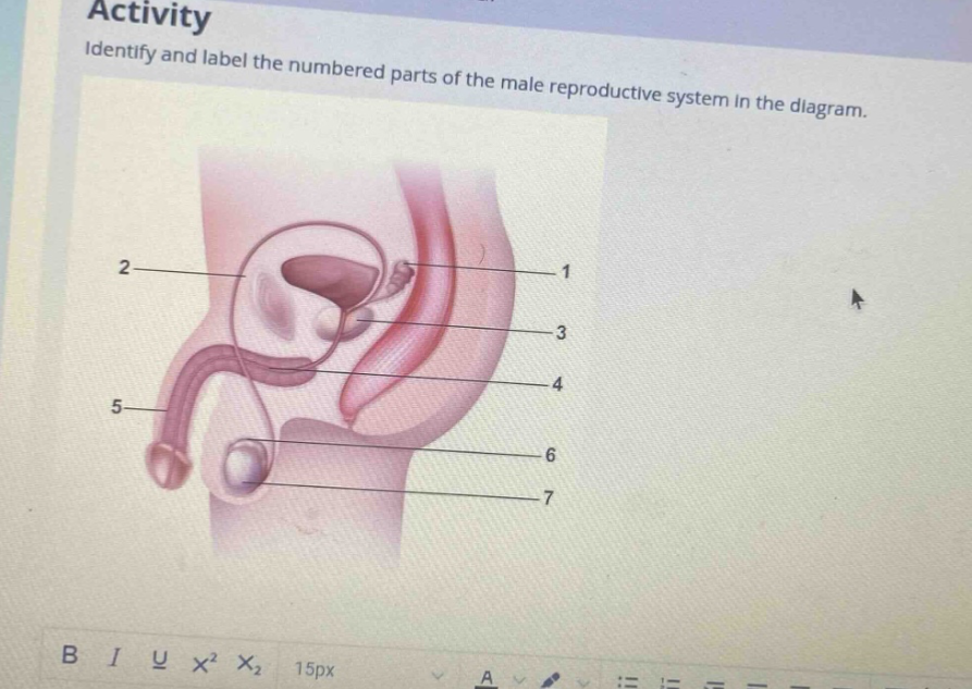 activity\nidentify and label the numbered parts of the male reproductive system in the diagram.