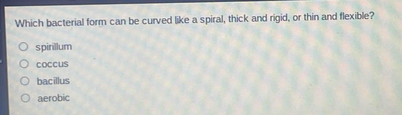 which bacterial form can be curved like a spiral, thick and rigid, or thin and flexible?\nspirillum\ncoccus\nbacillus\naerobic