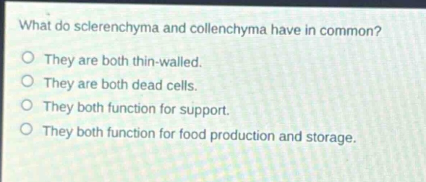 what do sclerenchyma and collenchyma have in common?\nthey are both thin - walled.\nthey are both dead cells.\nthey both function for support.\nthey both function for food production and storage.