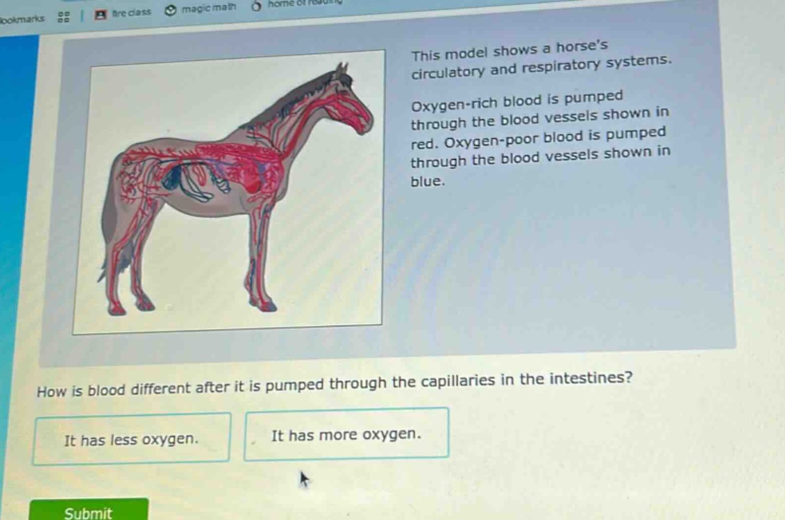 this model shows a horses circulatory and respiratory systems. oxygen - rich blood is pumped through the blood vessels shown in red. oxygen - poor blood is pumped through the blood vessels shown in blue. how is blood different after it is pumped through the capillaries in the intestines? it has less oxygen. it has more oxygen.