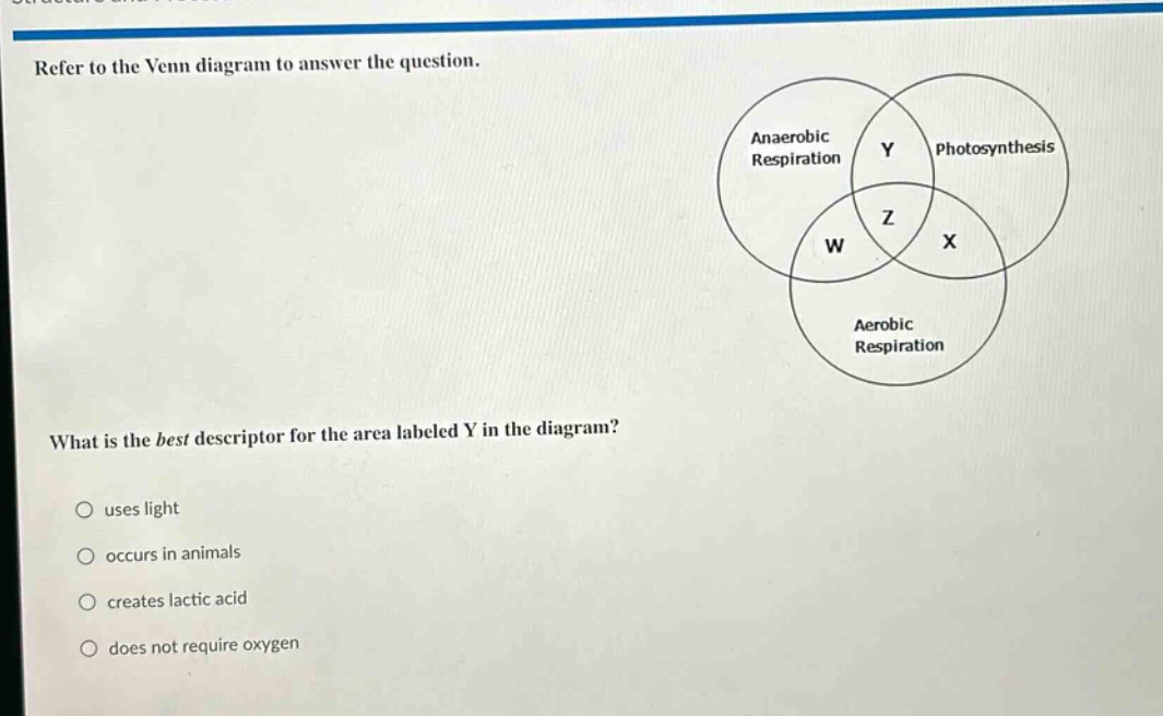 refer to the venn diagram to answer the question. what is the best descriptor for the area labeled y in the diagram? uses light occurs in animals creates lactic acid does not require oxygen