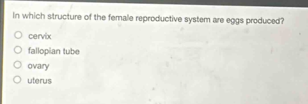 in which structure of the female reproductive system are eggs produced?\no cervix\no fallopian tube\no ovary\no uterus