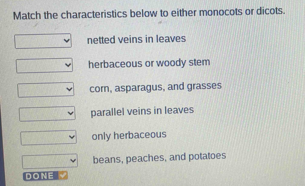 match the characteristics below to either monocots or dicots. netted veins in leaves herbaceous or woody stem corn, asparagus, and grasses parallel veins in leaves only herbaceous beans, peaches, and potatoes done