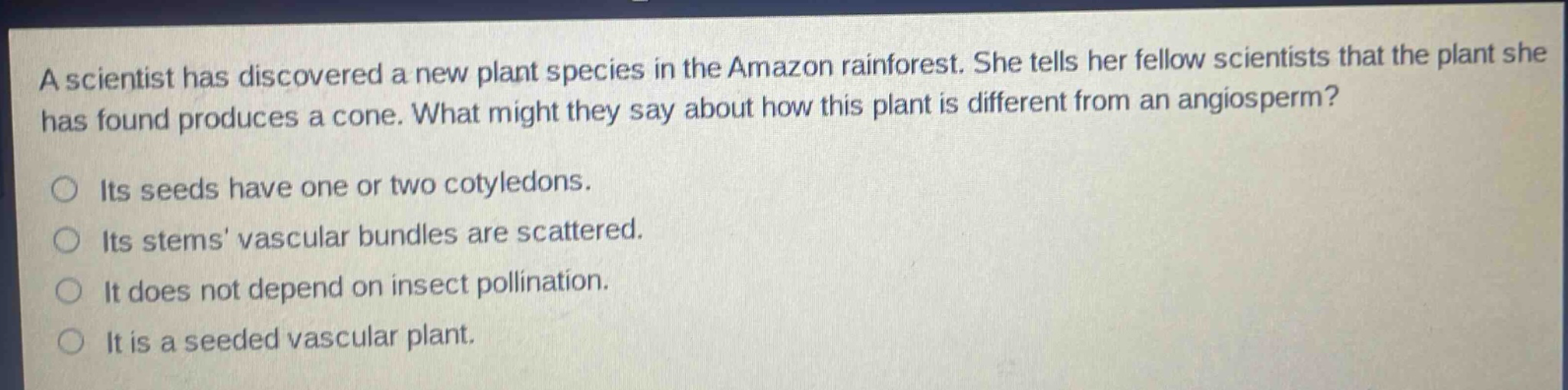 a scientist has discovered a new plant species in the amazon rainforest. she tells her fellow scientists that the plant she has found produces a cone. what might they say about how this plant is different from an angiosperm?\nits seeds have one or two cotyledons.\nits stems vascular bundles are scattered.\nit does not depend on insect pollination.\nit is a seeded vascular plant.