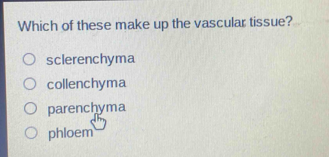 which of these make up the vascular tissue?\n○ sclerenchyma\n○ collenchyma\n○ parenchyma\n○ phloem