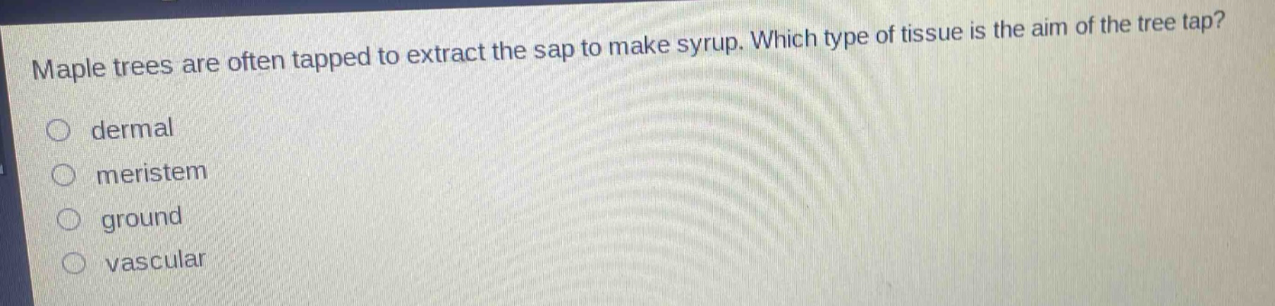 maple trees are often tapped to extract the sap to make syrup. which type of tissue is the aim of the tree tap?\ndermal\nmeristem\nground\nvascular