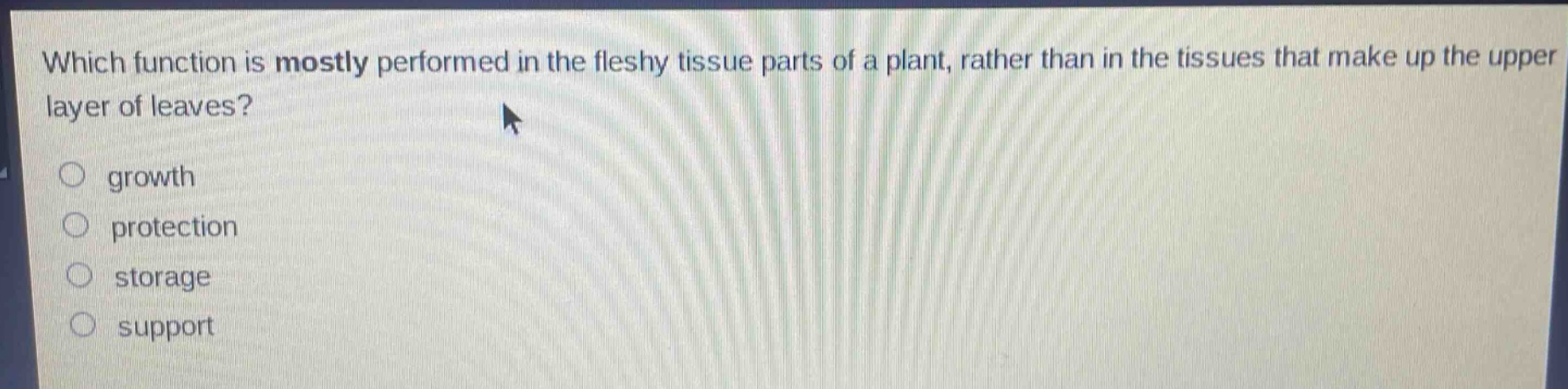 which function is mostly performed in the fleshy tissue parts of a plant, rather than in the tissues that make up the upper layer of leaves?\ngrowth\nprotection\nstorage\nsupport