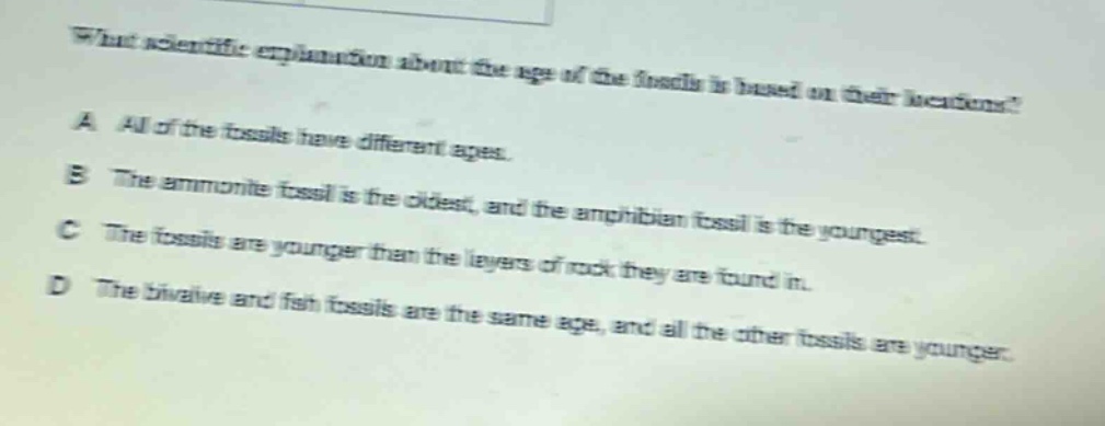 what scientific explanation about the age of the fossils is based on their locations? a all of the fossils have different ages. b the ammonite fossil is the oldest, and the amphibian fossil is the youngest. c the fossils are younger than the layers of rock they are found in. d the bivalve and fish fossils are the same age, and all the other fossils are younger.
