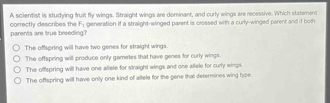 a scientist is studying fruit fly wings. straight wings are dominant, and curly wings are recessive. which statement correctly describes the f₁ generation if a straight - winged parent is crossed with a curly - winged parent and if both parents are true breeding?\no the offspring will have two genes for straight wings.\no the offspring will produce only gametes that have genes for curly wings.\no the offspring will have one allele for straight wings and one allele for curly wings.\no the offspring will have only one kind of allele for the gene that determines wing type.