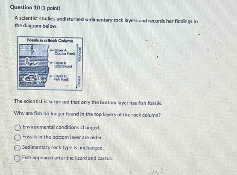 question 10 (1 point)\na scientist studies undisturbed sedimentary rock layers and records her findings in the diagram below.\nthe scientist is surprised that only the bottom layer has fish fossils.\nwhy are fish no longer found in the top layers of the rock column?\nenvironmental conditions changed.\nfossils in the bottom layer are older.\nsedimentary rock type is unchanged.\nfish appeared after the lizard and cactus.\nfish appeared after the lizard and cactus.