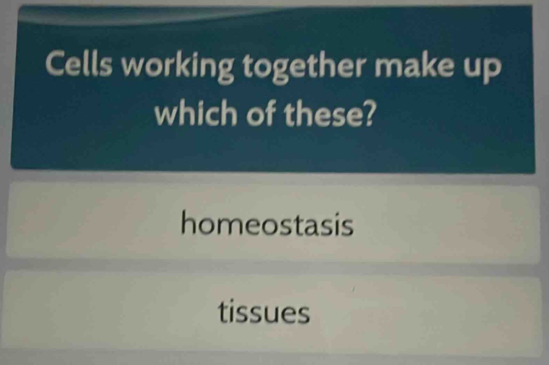 cells working together make up which of these?\nhomeostasis\ntissues