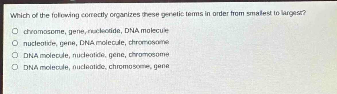 which of the following correctly organizes these genetic terms in order from smallest to largest?\no chromosome, gene, nucleotide, dna molecule\no nucleotide, gene, dna molecule, chromosome\no dna molecule, nucleotide, gene, chromosome\no dna molecule, nucleotide, chromosome, gene