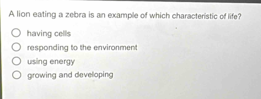 a lion eating a zebra is an example of which characteristic of life?\n○ having cells\n○ responding to the environment\n○ using energy\n○ growing and developing
