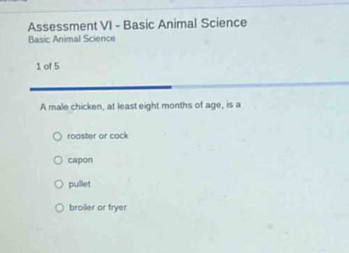 assessment vi - basic animal science\nbasic animal science\n1 of 5\na male chicken, at least eight months of age, is a\nrooster or cock\ncapon\npullet\nbroiler or fryer