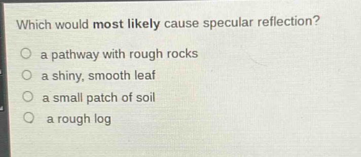 which would most likely cause specular reflection?\n a pathway with rough rocks\n a shiny, smooth leaf\n a small patch of soil\n a rough log