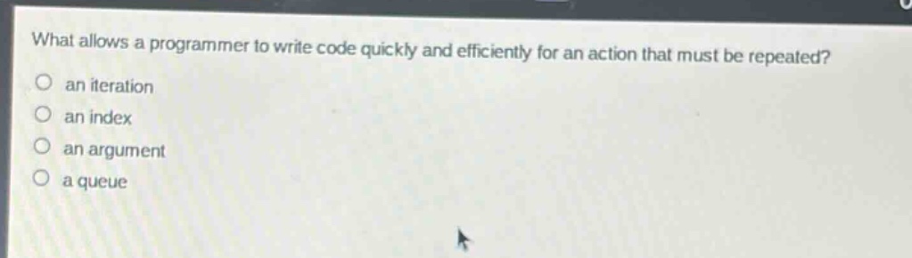 what allows a programmer to write code quickly and efficiently for an action that must be repeated?\n○ an iteration\n○ an index\n○ an argument\n○ a queue