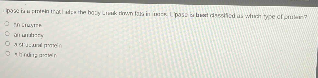 lipase is a protein that helps the body break down fats in foods. lipase is best classified as which type of protein?\n○ an enzyme\n○ an antibody\n○ a structural protein\n○ a binding protein