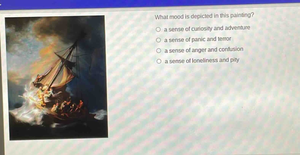 what mood is depicted in this painting?\n○ a sense of curiosity and adventure\n○ a sense of panic and terror\n○ a sense of anger and confusion\n○ a sense of loneliness and pity