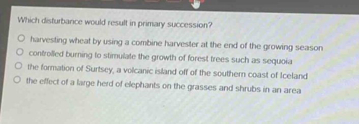 which disturbance would result in primary succession?\n harvesting wheat by using a combine harvester at the end of the growing season\n controlled burning to stimulate the growth of forest trees such as sequoia\n the formation of surtsey, a volcanic island off of the southern coast of iceland\n the effect of a large herd of elephants on the grasses and shrubs in an area