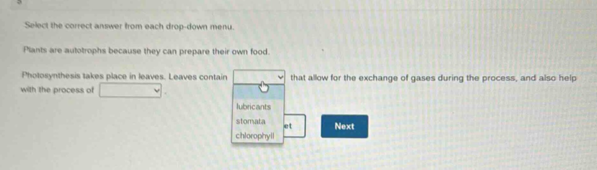 select the correct answer from each drop - down menu. plants are autotrophs because they can prepare their own food. photosynthesis takes place in leaves. leaves contain that allow for the exchange of gases during the process, and also help with the process of.