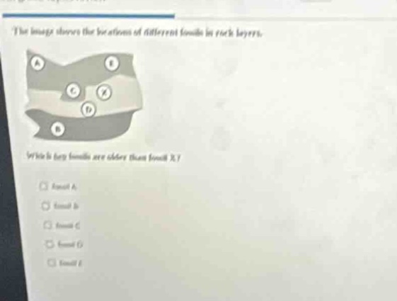 the image shows the locations of different fossils in rock layers. which key fossils are older than fossil x? fossil a fossil b fossil c fossil d fossil e
