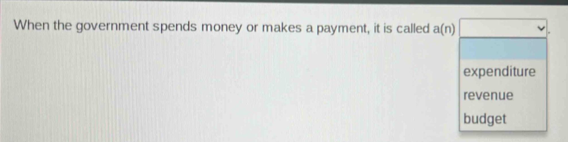 when the government spends money or makes a payment, it is called a(n) expenditure revenue budget