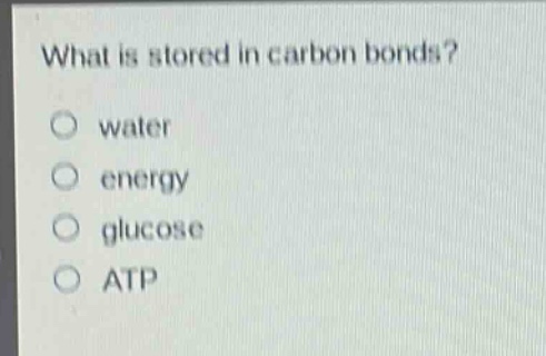 what is stored in carbon bonds?\no water\no energy\no glucose\no atp